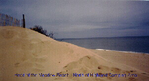 Head of the Meadow Beach